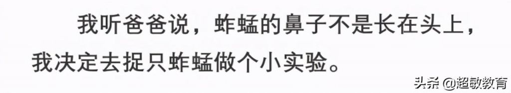 包含小蚱蜢的鼻子长在哪里的词条