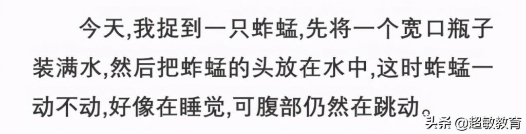 包含小蚱蜢的鼻子长在哪里的词条