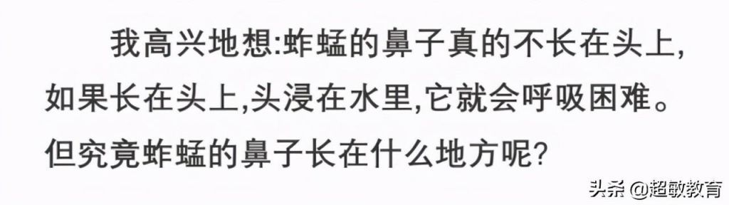 包含小蚱蜢的鼻子长在哪里的词条