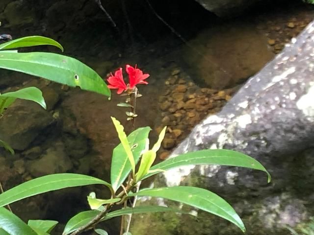 福州天门山在哪里(福州天门山景区介绍)