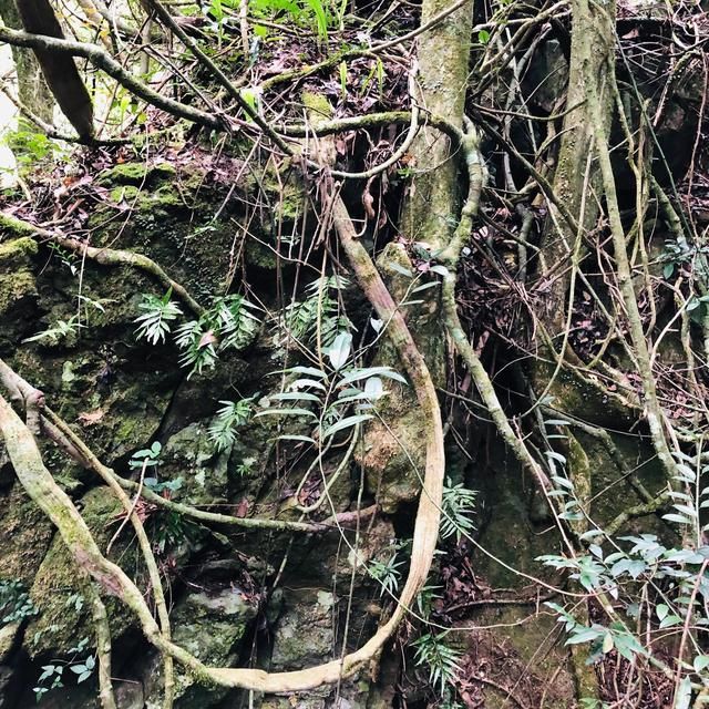 福州天门山在哪里(福州天门山景区介绍)