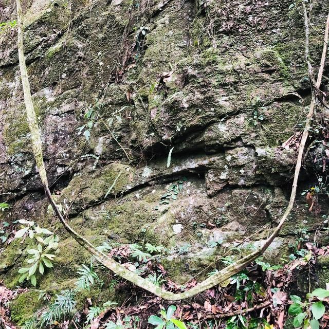 福州天门山在哪里(福州天门山景区介绍)