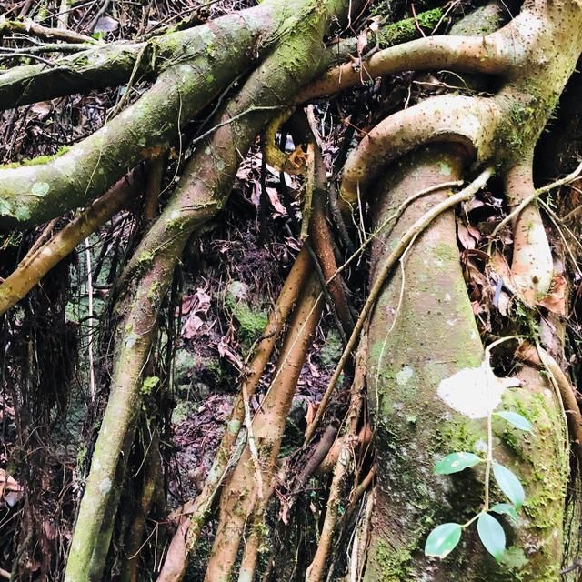 福州天门山在哪里(福州天门山景区介绍)