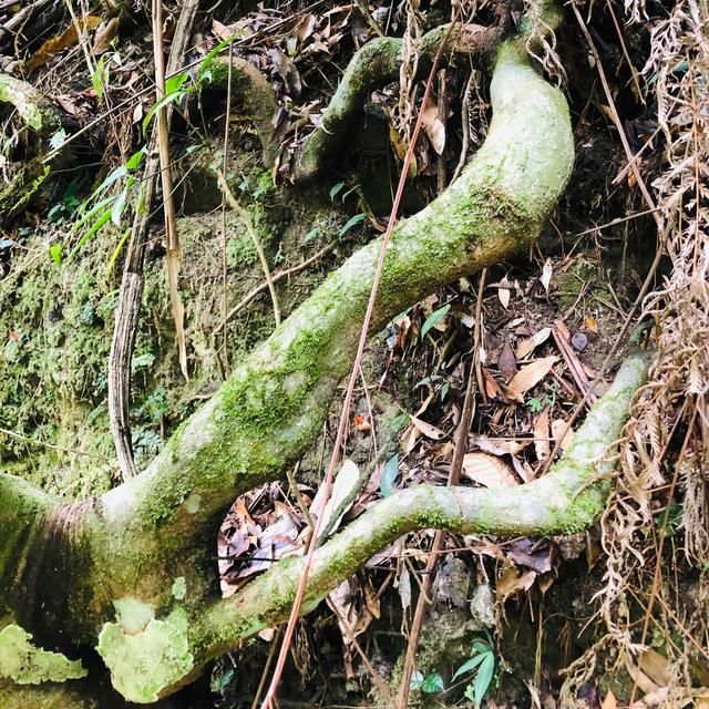 福州天门山在哪里(福州天门山景区介绍)