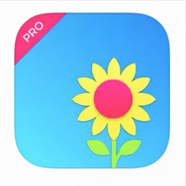 在哪下app(在哪下app最安全)
