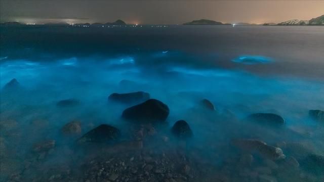 舟山在哪儿(浙江舟山有哪些好玩的景点)