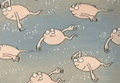 输精管在哪里可以摸到的简单介绍