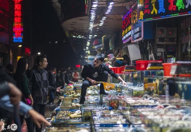 包含鳄鱼批发市场在哪里的词条