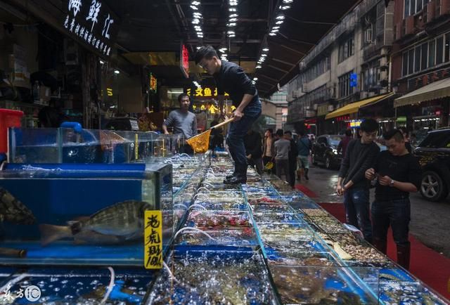 包含鳄鱼批发市场在哪里的词条