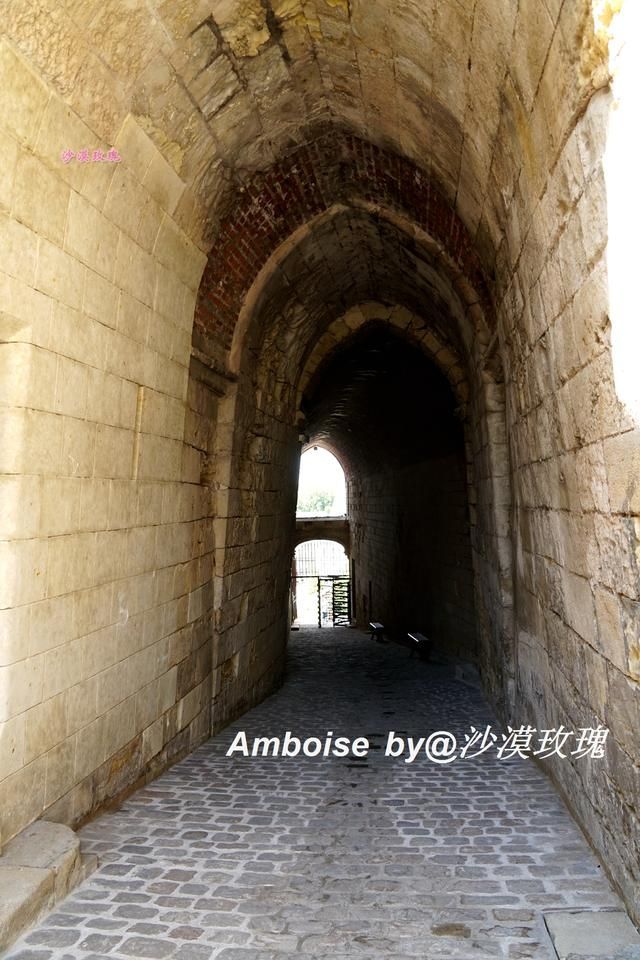 竖琴在哪(竖琴在哪里兑换)