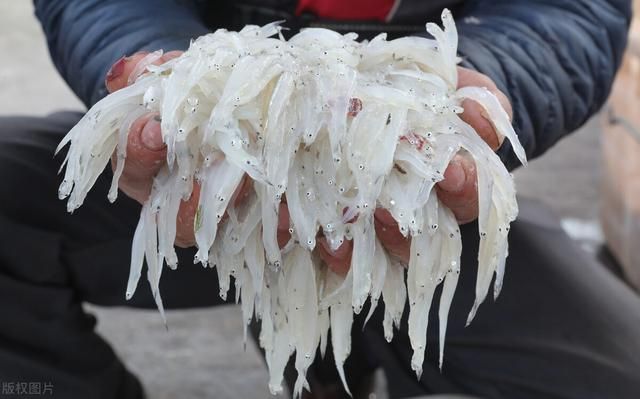 虹鱼在哪钓(侠客风云传虹鲤任务)