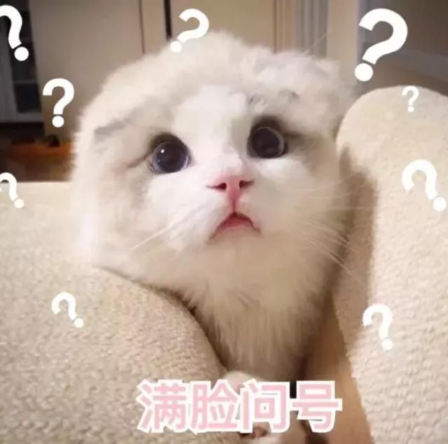 广西红盾网注册入口(广西红盾网注册入口柳州)