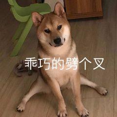 vivo的备份功能在哪里(vivo手机云端备份在哪里找)
