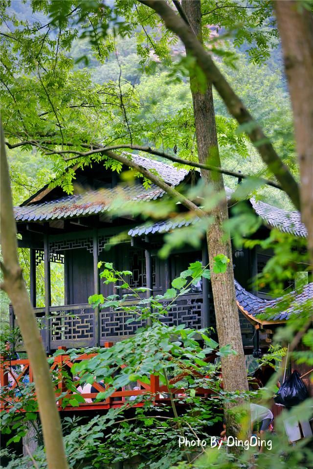 金鞭溪在哪里(金鞭溪猴子在哪里)