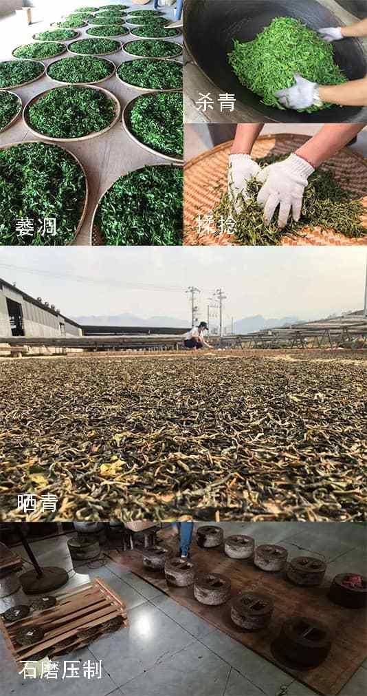 冰岛茶产地在哪里(冰岛属于什么茶类)