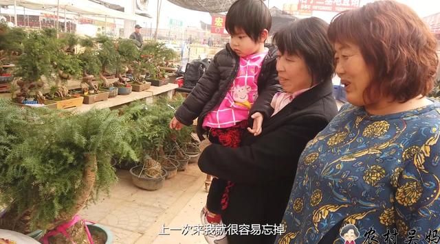 青州花卉批发市场在哪(青州花卉批发市场在哪个镇)