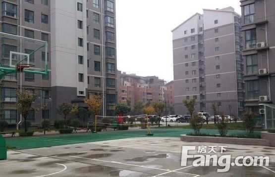 金都大厦在哪里(金都大厦地址)