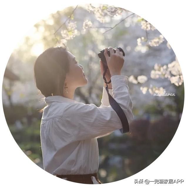 香草在哪买(香草在线观看)