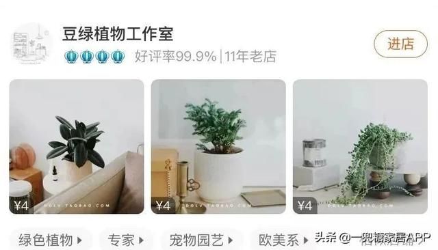 香草在哪买(香草在线观看)
