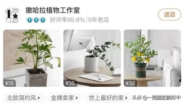 香草在哪买(香草在线观看)