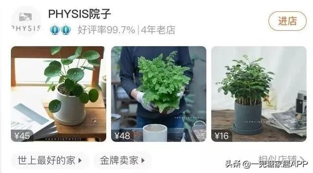 香草在哪买(香草在线观看)
