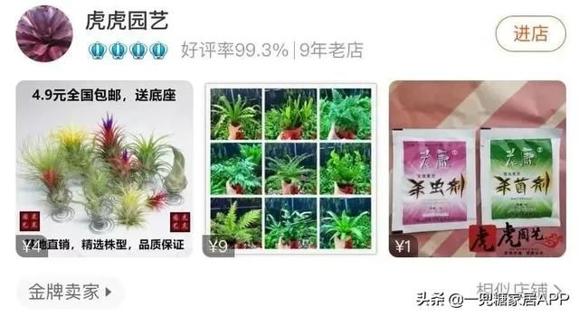 香草在哪买(香草在线观看)