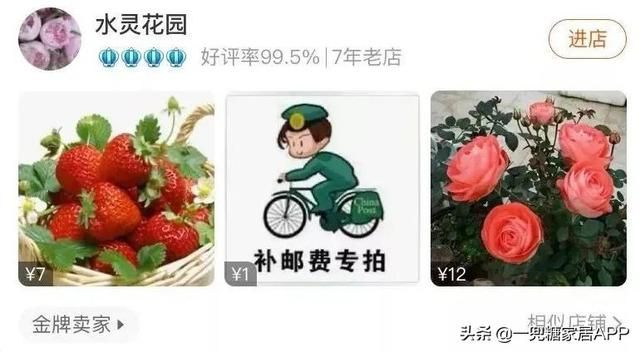 香草在哪买(香草在线观看)