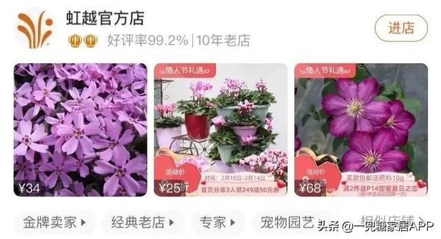 香草在哪买(香草在线观看)