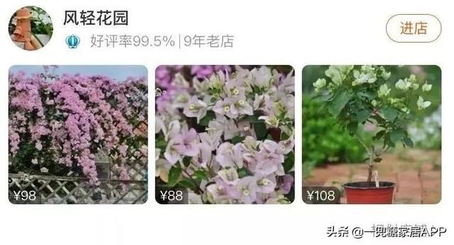 香草在哪买(香草在线观看)
