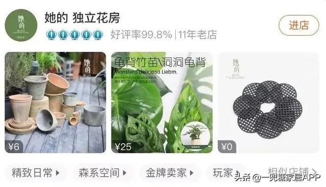 香草在哪买(香草在线观看)