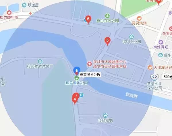 深圳龙舟比赛在哪里(跑男龙舟比赛在哪里)