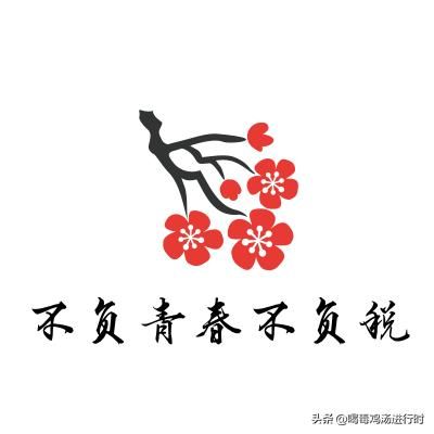 个人工作室税收优惠政策2021(个人工作室税收优惠政策天津2021)