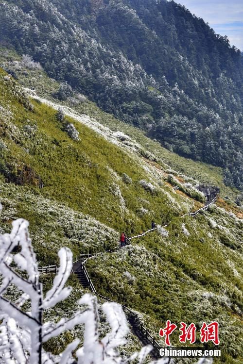 湖北神农架在哪里(四川神农架在哪里)