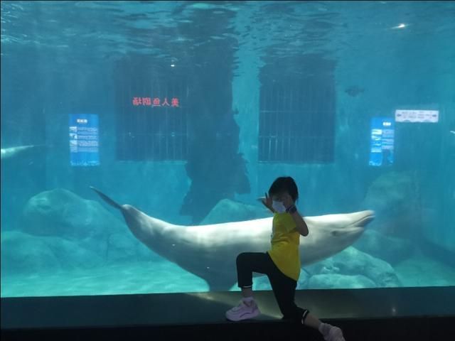 深海奇幻世界在哪里(罗源深海奇幻世界图片)