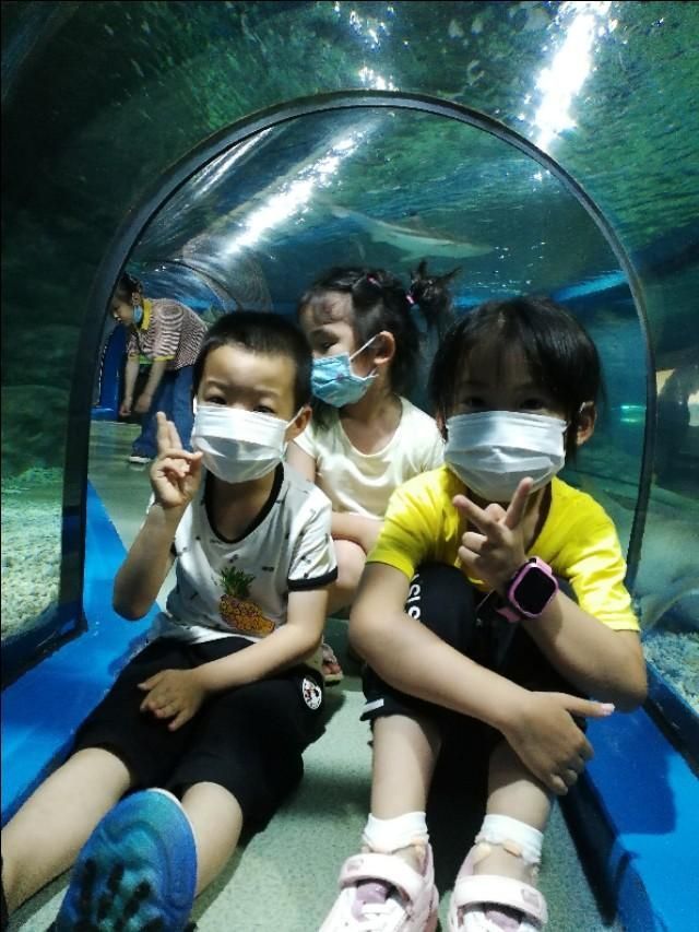 深海奇幻世界在哪里(罗源深海奇幻世界图片)