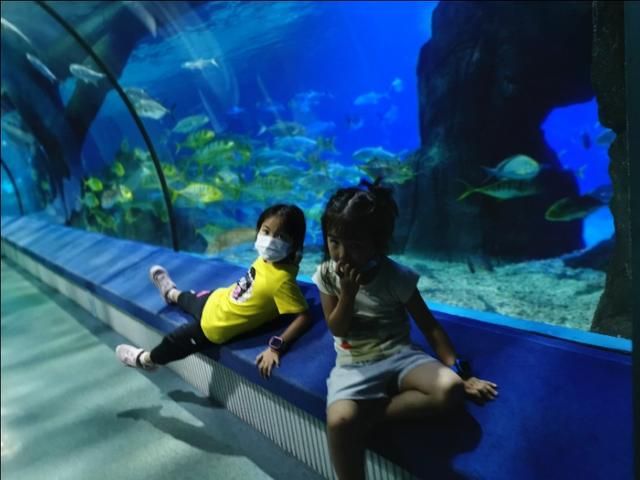深海奇幻世界在哪里(罗源深海奇幻世界图片)