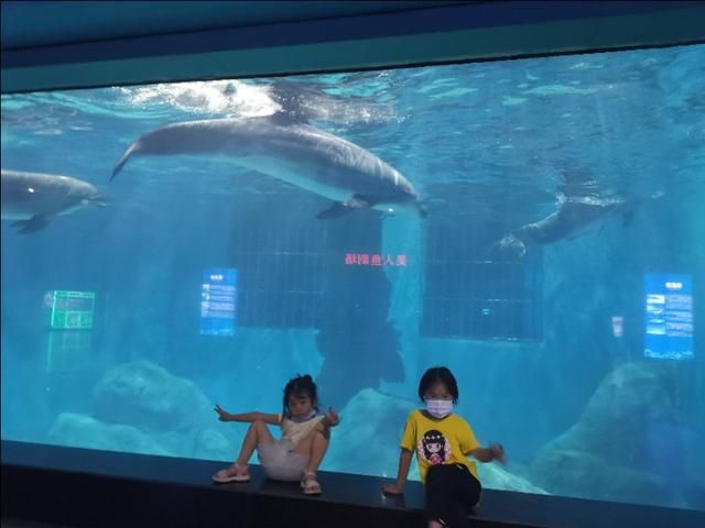 深海奇幻世界在哪里(罗源深海奇幻世界图片)