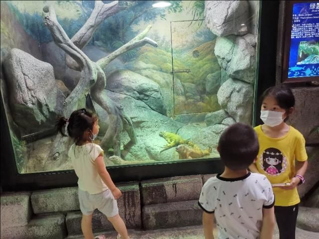 深海奇幻世界在哪里(罗源深海奇幻世界图片)