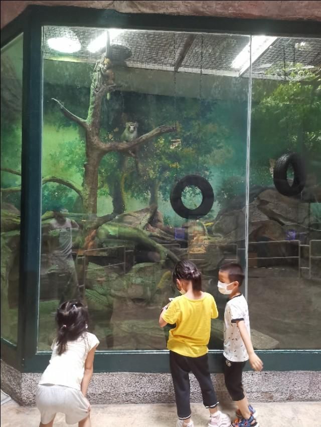 深海奇幻世界在哪里(罗源深海奇幻世界图片)