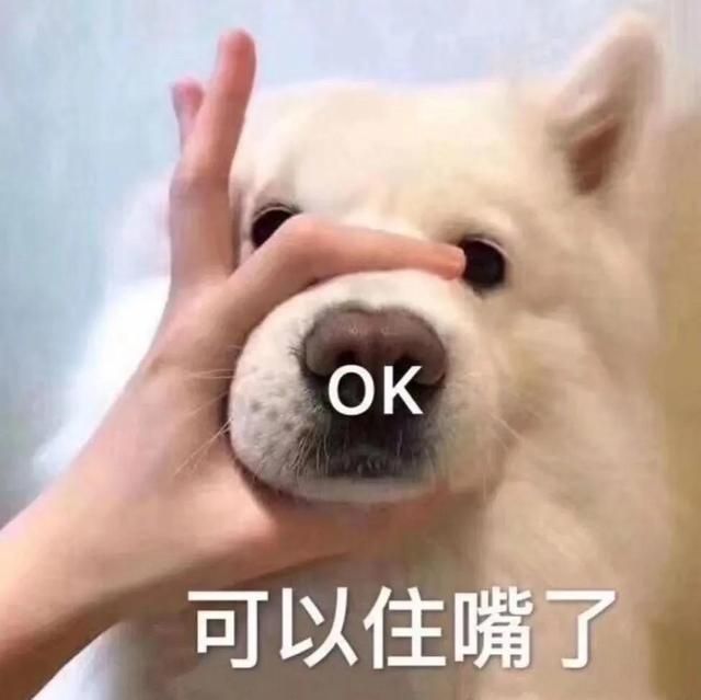 我是谁我在哪图片(我是谁我在哪表情包)