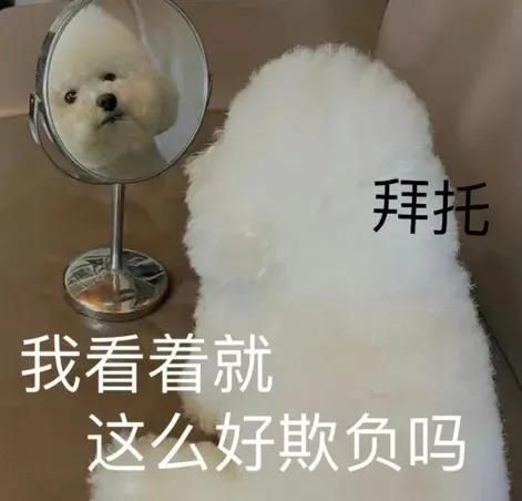 我是谁我在哪图片(我是谁我在哪表情包)