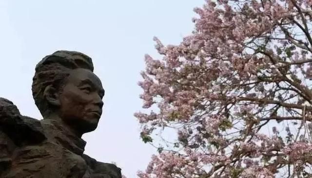重庆市忠县县长被杀(重庆市忠县县长被杀判决)