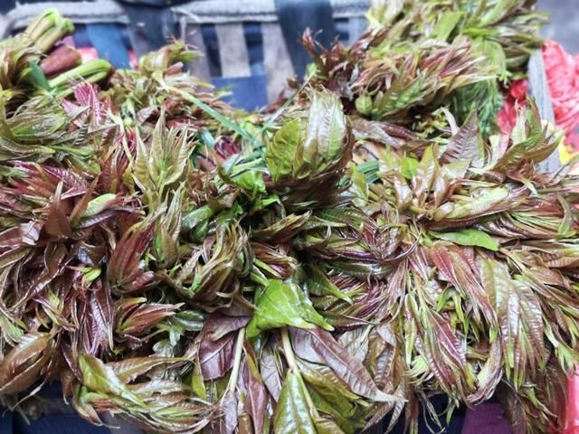 织金美食一条街在哪里(西安美食一条街在哪里)