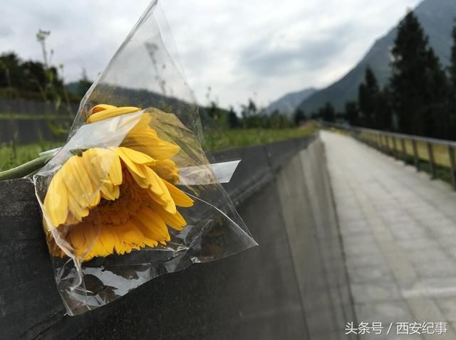 死者在哪(死者在幻夜中醒来)