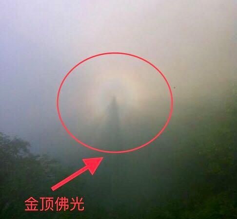 关于蛇泉沟在哪的信息
