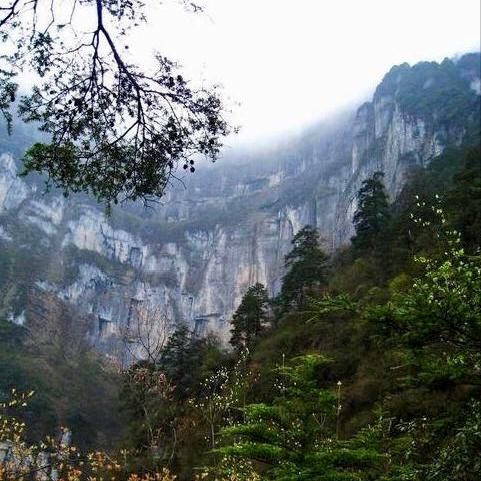 关于蛇泉沟在哪的信息