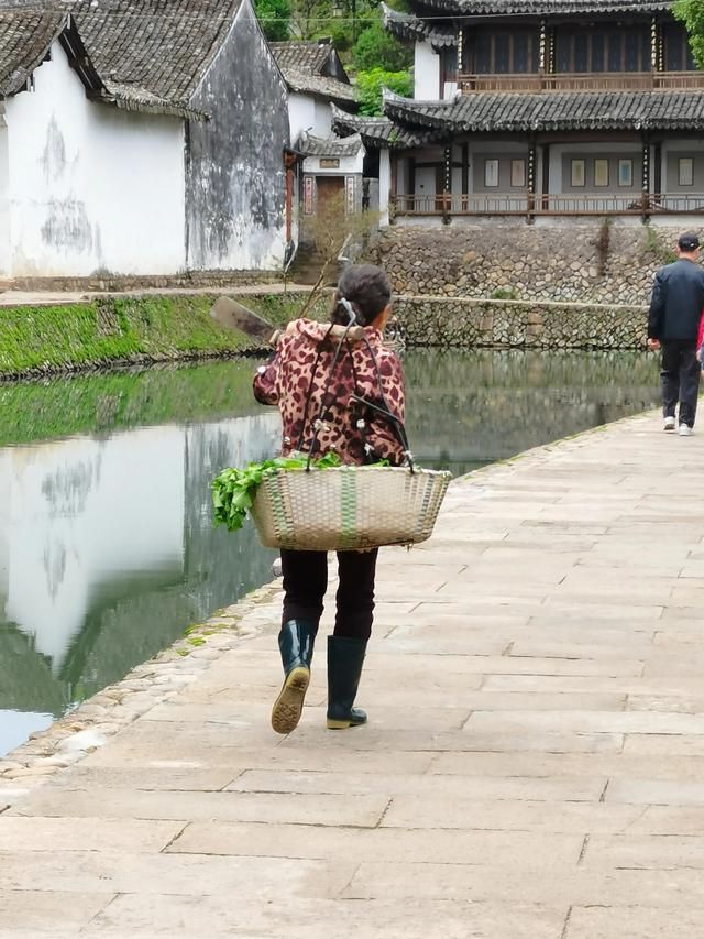 关于丽水古街地址在哪儿的信息