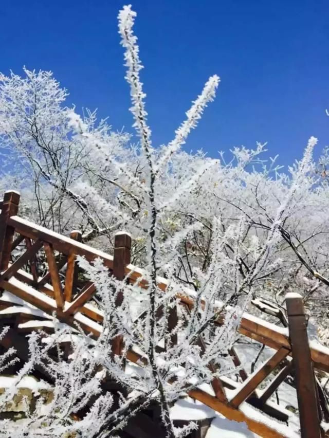 徐州玻璃桥在哪个位置的简单介绍