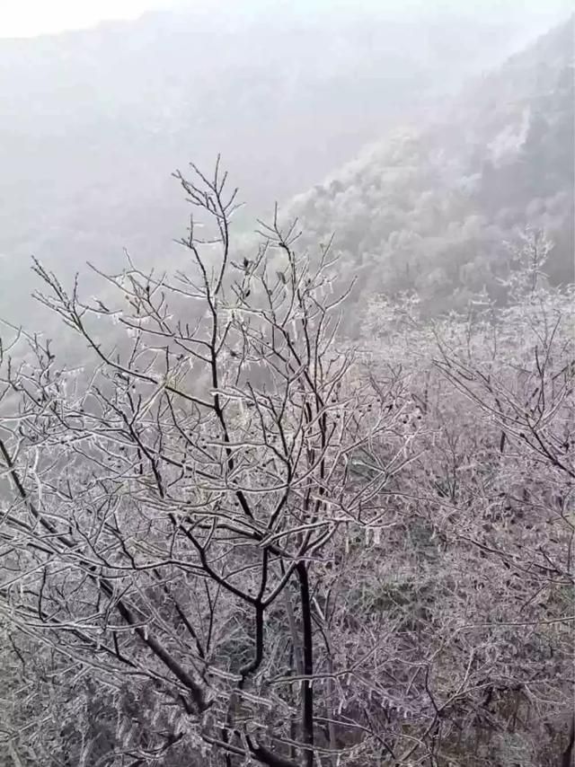 徐州玻璃桥在哪个位置的简单介绍