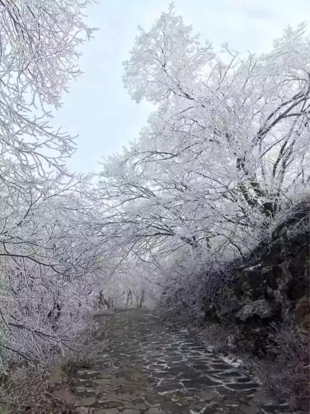 徐州玻璃桥在哪个位置的简单介绍